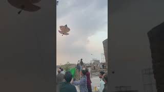 Brown Colour Kite 20 Githi patang weather Amazing Basant festival