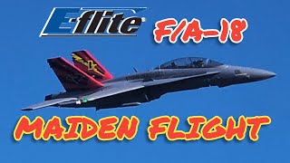 Eflite F/A-18 80mm Maiden Flight #rcplane #eflite #aviation