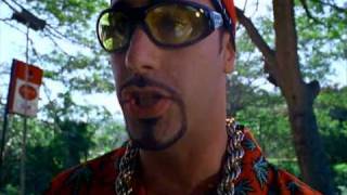 ali g feat shaggy - me julie