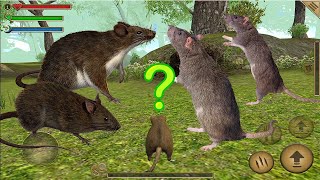 🐺 Mouse Simulator Rat Rodent Animal Life / Android Gameplay