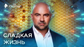 Сладкая жизнь — Как устроен мир с Тимофеем Баженовым (16.02.2023)