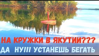 НА КРУЖКИ В ЯКУТИИ ВЫ СЕРЬЕЗНО??? ДА НУ ИХ! УСТАНЕШЬ ПЛАВАТЬ!!!