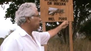 Apiario Poço da Abelha, Coité do Nóia Alagoas