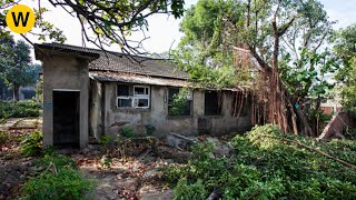 Because our family was so poor, we renovate an abandoned house in the forest to make living