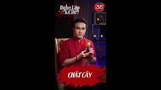 Nghe Lập Kể Nè | Tập 35 | Chặt Cây #Shorts #ChuyenKinhDi #HuynhLapOfficial #NgheLapKeNe