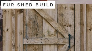 Fur Shed Build