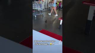 A feral chicken in the Costco food court… #hawaii #hawaiilife #maui #costco #travel #chicken