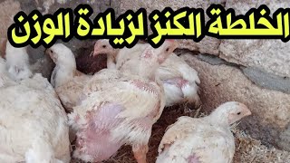 الخلطة الكنز لزيادة وزن الفراخ البيضاء وكمان بتعالج البرد ورافع مناعة و....