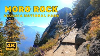 Hiking Moro Rock Trail, Sequoia National Park- California - USA [4K] ASMR WALK