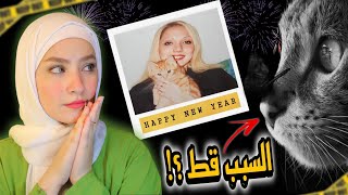 قطط كانت السبب في صدمه كبيره ليلة رأس السنة/ قضايا تم حلها