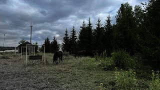 ЗАБРОШЕННАЯ БАЗА ОТДЫХА / ВОЛОЖКА / ИЖЕВСК