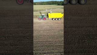 Chopping corn with a Claas Jaguar 960 and 3x Fendt. #fypシ #video #viral #viralvideo #tractor #fendt