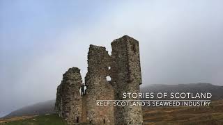 Kelp: Scotland's Seaweed Industry - Stories of Scotland Podcast - Episode 97