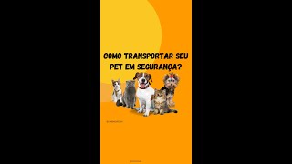 Dicas de como transportar seu pet em segurança 🐈🦮 | SeminovosBH