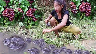 Forest Survival: Pick grapes for food - Finding meet bullfrog soup delicious for food In the woods