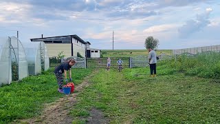 Сами не справились. Пришлось обращаться за помощью. Готовимся к стройке. Собираем урожай.