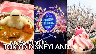 A Night in TOKYO DISNEYLAND! Shop with me, special event food, BAYMAX CURRY, & Electrical Parade!