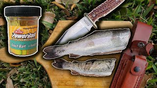 BEST and EASIEST way to catch RAINBOW TROUT!! BAIT/SET UP/RIG