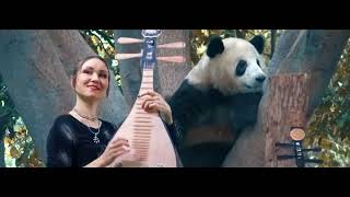 OTTA-orchestra - PANDA MIA (Official Video)