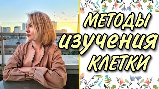 МЕТОДЫ БИОЛОГИИ/МЕТОДЫ ИЗУЧЕНИЯ КЛЕТКИ:ХРОМАТОГРАФИЯ, ЦЕНТРИФУГИРОВАНИЕ, МИКРОСКОПИЯ,КУЛЬТУРЫ ТКАНЕЙ