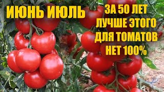 Я был в шоке! После даже дохлые Томаты, Огурцы, Перцы заплодоносили как бешеные и не болеют!