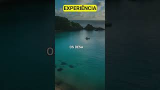 EXPERIÊNCIA