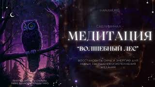 Сказка-медитация "Волшебный лес" | саблиминал🪄Hanamure.