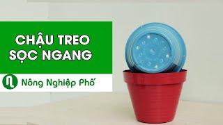 CHẬU TREO SỌC NGANG | nongnghieppho.vn