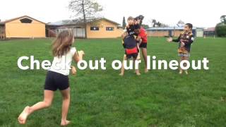 Te Rapa Primary School's 2016 Entry