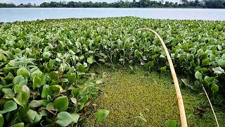 FOI DE ESTRALAR A VARA DE BAMBU , ESSES BURACOS DE ÁGUA NUNCA FALHA /PESCARIA RAIZ DE TRAÍRA .