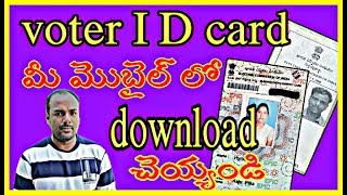 How to check voter card and list