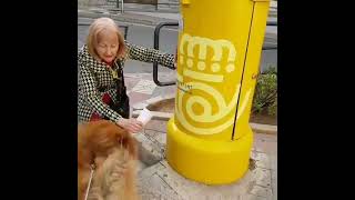 Dante después de 5 minutos sin ver a mi madre. Cuánto te echamos de menos!😭 #dantedelosperrosdebigo