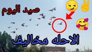 مثل ماعودناكم اليوم احلى صيد جابنه المخاليف ✌️😏🕊️🏹