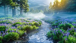 Beautiful Relaxing Music 🌿 Stop Overthinking, Stress Relief Music 🌿 Gentle Music