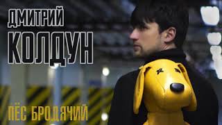 Дмитрий Колдун - Пёс бродячий (2019)