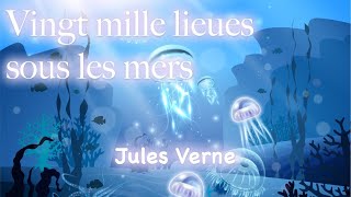 Vingt mille lieues sous les mers. Partie 1. Chapitre 22.