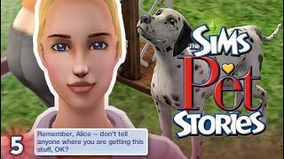 We're FINALLY Making Some Progress 🏋️ | The Sims Pet Stories - CH 5