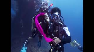 DIVEABLE - everyone can dive for ACCESSIBLE TOURISM IN INDONESIA