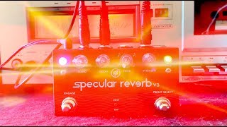 All India Radio - Ambient Explorations with the Specular Reverb pedal