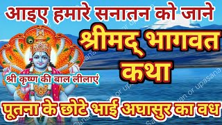 श्री कृष्ण की बाल लीलाएं: अघासुर का वध और नटखट लीलाएं || Shreemad Bhagwat Katha || Bhagwat Katha