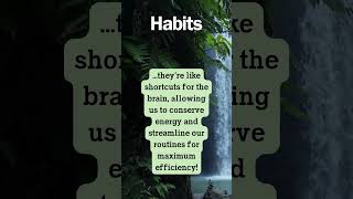 Habits #habits