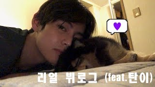 [VLOG] 뷔 | 나른한 뷔의 신나는 휴가 #탄이 #바다 #피씨방