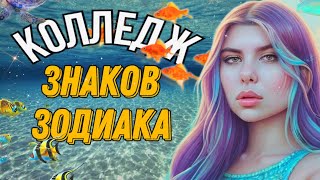 Часть 1: Каждый попадает в колледж знаков зодиака ♓️