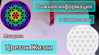 Мандала ЦВЕТОК ЖИЗНИ. Все о ней. Как правильно загадать желание? Как рисовать. О важном.