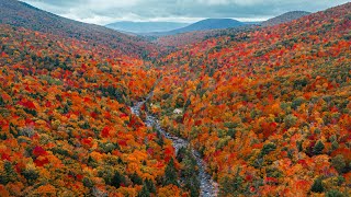 The Best Destination in America for Fall Foliage 🍂🍁