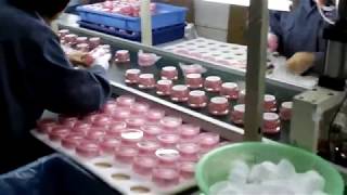 SHENGRUISI(SRS)  PACKAGING assembly line