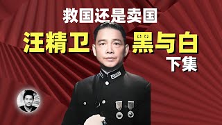 救国还是卖国：汪精卫的黑与白（下集）