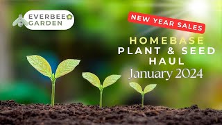 Homebase New Year sales - Plant and seed haul | EVERBEE GARDEN