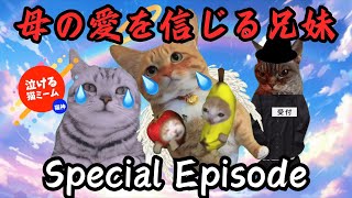 【猫ミーム/泣ける猫ミーム/母の愛を信じる兄妹/スペシャルエピソード編】#猫ミーム #感動する話 #泣ける猫ミーム#家族 #ファミリー