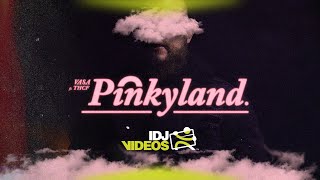 Vasa X Thcf - Pinky Land